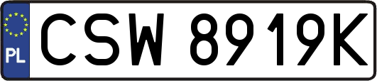 CSW8919K