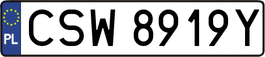 CSW8919Y