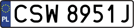 CSW8951J
