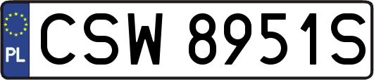 CSW8951S