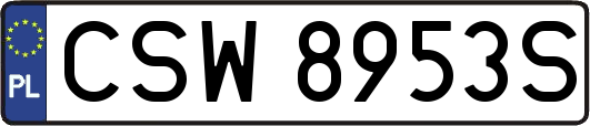 CSW8953S