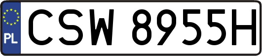 CSW8955H