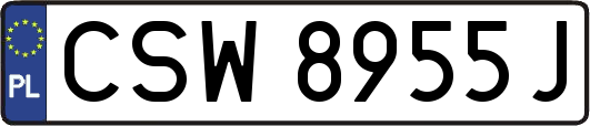 CSW8955J