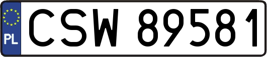 CSW89581