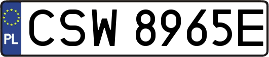 CSW8965E