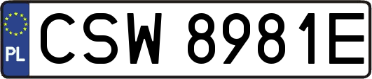 CSW8981E