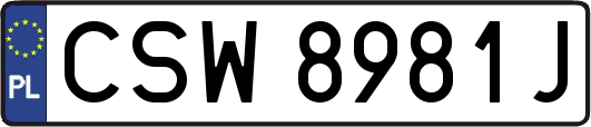 CSW8981J