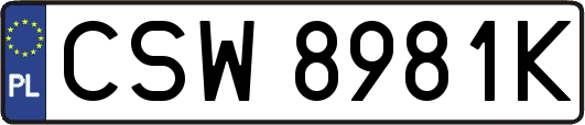 CSW8981K