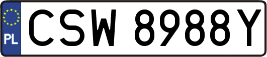 CSW8988Y