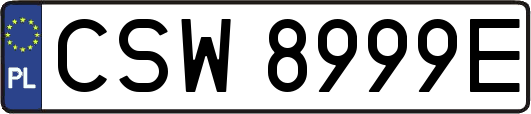 CSW8999E