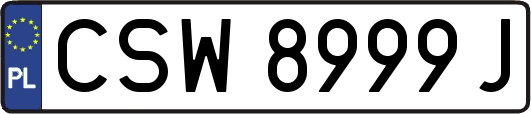 CSW8999J
