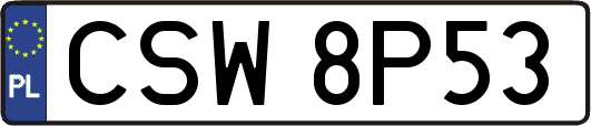 CSW8P53