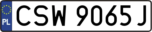 CSW9065J