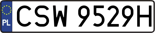 CSW9529H