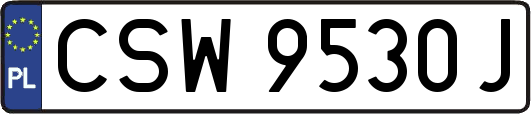 CSW9530J