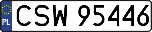 CSW95446