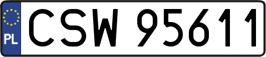 CSW95611