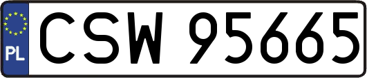 CSW95665