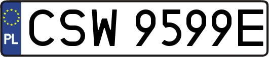 CSW9599E