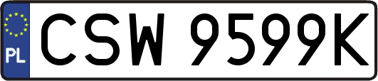 CSW9599K