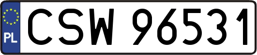 CSW96531
