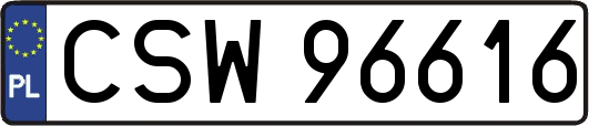CSW96616