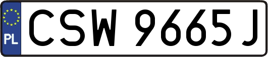 CSW9665J
