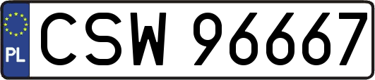 CSW96667