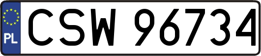 CSW96734