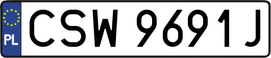CSW9691J