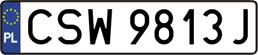 CSW9813J