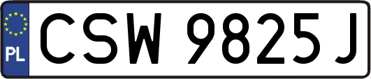 CSW9825J