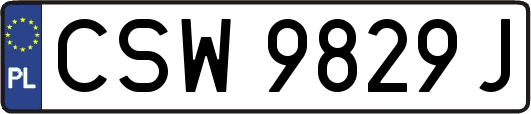CSW9829J