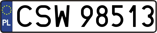 CSW98513