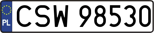 CSW98530
