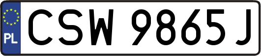CSW9865J