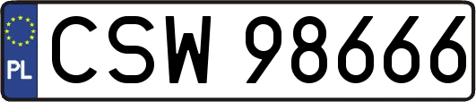 CSW98666