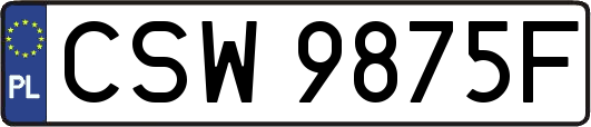 CSW9875F