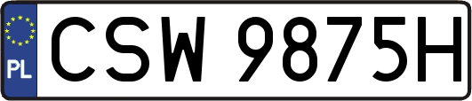 CSW9875H