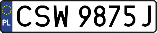 CSW9875J