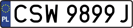 CSW9899J