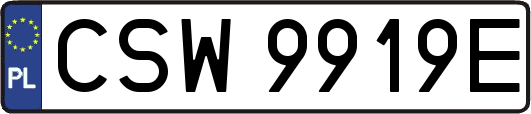 CSW9919E
