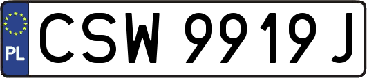 CSW9919J
