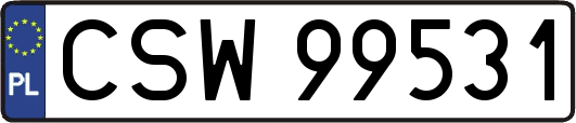 CSW99531