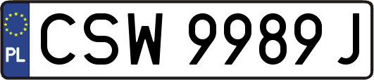 CSW9989J
