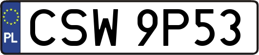 CSW9P53