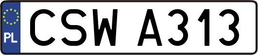 CSWA313