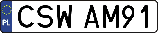 CSWAM91