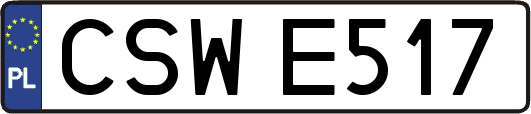 CSWE517