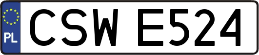 CSWE524